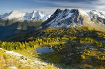 Jumbo Pass y alerces alpinos en follaje otoñal, Montañas Purcell, Columbia Británica, Canadá - foto de stock