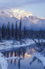 Winter sunset on Miette Range and reflection in pond along in Jasper National Park, Alberta, Canada — Stock Photo