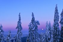 Monduntergang bei Sonnenaufgang des Mount-Seymour-Provinzparks, Britisch Columbia, Kanada — Stockfoto