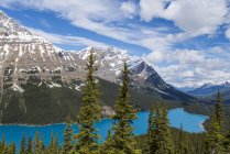 Vista panorâmica de montanhas cobertas de neve e turquesa Peyto Lake, Banff National Park, Alberta, Canadá — Fotografia de Stock