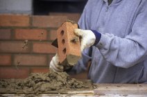 Planta de construcción y albañil aplicando mortero mientras se construye muro de ladrillo, Columbia Británica, Canadá . - foto de stock