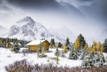 Cabin of Mount Assiniboine Lodge, Mount Assiniboine Provincial Park, British Columbia, Canada — Stock Photo