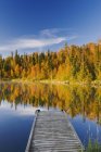 Muelle de madera y follaje otoñal de árboles forestales Dickens Lake, Northern Saskatchewan, Canadá - foto de stock