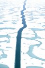Riss im gefrorenen arktischen Ozean mit fließenden Eiderenten im Wasser, nunavut, canada. — Stockfoto