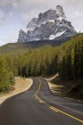 Road in forest to Castle Mountain, Banff National Park, Alberta, Canadá - foto de stock