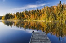 Осінній настрій лісу на Діккенс озера, Північної провінції Саскачеван, Канада — стокове фото