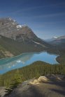 Lago Peyto Glacial nas montanhas do Parque Nacional Banff ao entardecer, Alberta, Canadá — Fotografia de Stock
