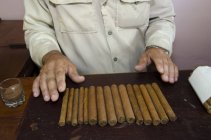 Sección media del agricultor de tabaco mostrando cigarros cubanos en la mesa en la aldea y cerca de Vinales, Cuba - foto de stock