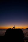 Silhouette of woman practicing yoga on coastal rock at sunrise in Kalymnos, Greece. — Stock Photo