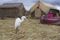 Garza blanca de pie en la aldea de Uros, Lago Titicaca, Perú - foto de stock