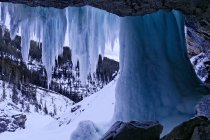 Ледяная пещера замерзших водопадов Пантер зимой, Национальный парк Банф, Альберта, Канада — стоковое фото