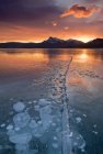 Авраам озера і кіста пік взимку Kootenay рівнини, Bighorn лісовим, Альберта, Канада — стокове фото