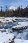 Зимний пейзаж природного моста через реку Кикинг-Хорс, Национальный парк Йохо, Британская Колумбия, Канада — стоковое фото