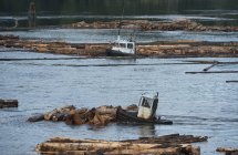 Logging boom boats at coastal village of Beaver Cove, Kokish River, British Columbia, Canada — Stock Photo