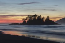 Silhouette degli alberi del Flores Island Provincial Park al tramonto nel Clayoquot Sound, Columbia Britannica, Canada
. — Foto stock