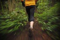 Trail running on Mount Seymour, North Vancouver, British Columbia. Canada — Stock Photo