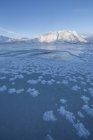 Cristais de gelo na superfície congelada do Lago Kluane com a Montanha das Ovelhas no Parque Nacional Kluane, Yukon, Canadá . — Fotografia de Stock