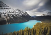 Живописный вид на заснеженные горы и бирюзовое озеро Пейто, Национальный парк Банфф, Альберта, Канада — стоковое фото