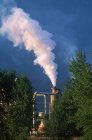 Pila de humo industrial enmarcada por vegetación, Columbia Británica, Canadá . - foto de stock
