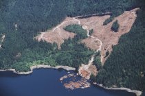 Luftaufnahme der Bucht mit Kahlschlag und Marine Log Deponie, britisch Columbia, Kanada. — Stockfoto
