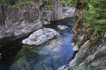 Margens rochosas do rio Kennedy, Pacific Rim National Park, Vancouver Island, British Columbia, Canadá . — Fotografia de Stock