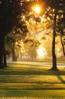 La lumière du soleil coule à travers les arbres, Merry Hill Golf Course au lever du soleil près de Guelph, Ontario, Canada — Photo de stock