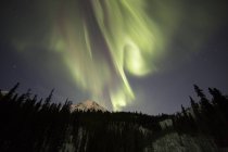 Vista de baixo ângulo das luzes do norte no céu noturno fora de Whitehorse, Yukon, Canadá . — Fotografia de Stock