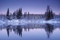 Зимовий showfall на Oxtonge річці в Algonquin парку, Онтаріо, Канада — стокове фото