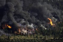 Imagens de incêndio florestal na região de Chilcotin da Colúmbia Britânica, Canadá — Fotografia de Stock