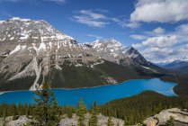 Живописный вид на заснеженные горы и бирюзовое озеро Пейто, Национальный парк Банфф, Альберта, Канада — стоковое фото