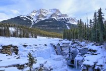 Гора Kekeslin позаду заморожених водоспади Атабаска взимку, Національний парк Джаспер, Альберта, Канада — стокове фото