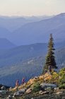 Un paio di escursioni Whistler Mountain, sera d'estate. — Foto stock