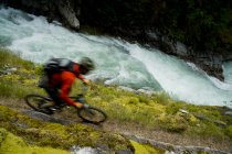 Mountain biker tenuously riding on trail above river in Purcell Mountains, British Columbia, Canada — Stock Photo