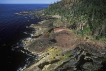 Luftaufnahme des haida gwaii archipels, britisch columbia, kanada. — Stockfoto