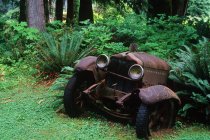 Sayward oxidado coche antiguo en Woodland Café, Vancouver Island, Columbia Británica, Canadá . - foto de stock