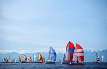 Swiftsure sailboat race at spinnaker start, Victoria, Vancouver Island, British Columbia, Canada. — Stock Photo