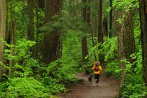 Trail running on Mount Seymour. North Vancouver, British Columbia. Canada — Stock Photo