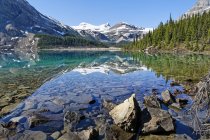 Orilla rocosa del lago Bow glacial, Parque Nacional Banff, Alberta, Canadá - foto de stock