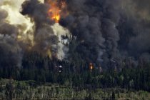 Forest fire imagery in Chilcotin region of British Columbia, Canada — Stock Photo