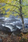 Herbstliche Szenerie am Oxtonge River, Muskoka, Ontario, Canada — Stockfoto