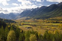 Elk Valley in autumnal foliage near Fernie, British Columbia, Canada. — Stock Photo