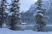 Cabina sul lago Louise in inverno, Banff National Park, Alberta, Canada — Foto stock
