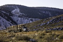 Журналювання вантажівка сільській дорозі в хотілося Каньйон в провінції Британська Колумбія, Канада. — стокове фото