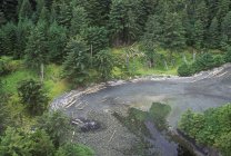 Villaggio Ninstints con pali totem obitorio intemperie, Haida Gwaii, Columbia Britannica, Canada . — Foto stock