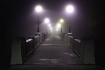 Пешеходный мост через реку Ассинибойн в туманное утро, Виннипег, Манитоба, Канада . — стоковое фото