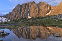 Felswand am Schollensee, die sich in der Morgendämmerung im Teich spiegelt, Schollensee, Kootenay Nationalpark, britische Kolumbia, Kanada — Stockfoto