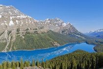 Vistas panorámicas de las montañas nevadas y el lago Peyto turquesa, Parque Nacional Banff, Alberta, Canadá - foto de stock