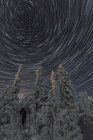 Людини, що стоїть на деревах під зірочок стежки через ніч небо, старі Ворона, Юкон. — стокове фото