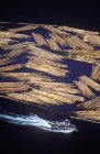 Висока кут зору timbered журналу бум і промислових човен, Slocan озеро, Західний Kootenays, Британська Колумбія, Канада. — стокове фото