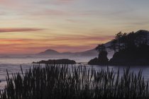 Isola nel Flores Island Provincial Park al tramonto nel Clayoquot Sound, Columbia Britannica, Canada . — Foto stock